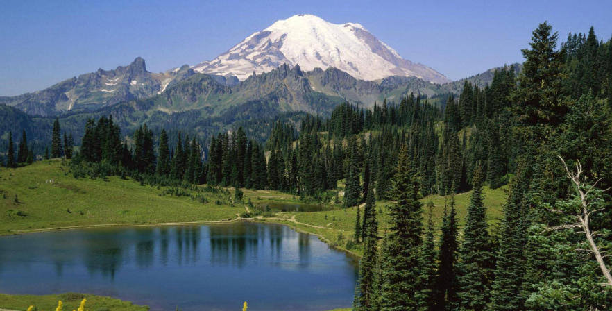 浙江华乐电子有限公司轮播图5